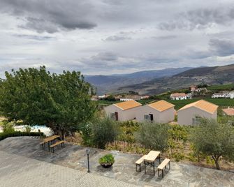 Quinta Manhas Douro - Provesende