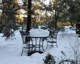 Renovated 3 Bed 2 Bath Secluded Cabin , Backing To The Natural Forest! - Pine - Patio