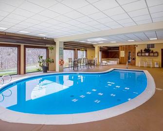 Cozy retreat near slopes - Dover - Zwembad