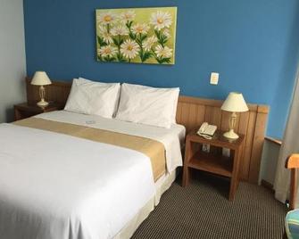 Hotel Sao Gotardo - Itamonte - Schlafzimmer
