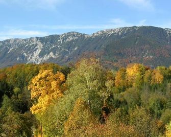 Flackl - Wirt - Reichenau an der Rax