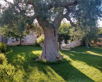橄欖花園民宿 - 卡斯特拉納格羅泰 - 卡斯特拉納格羅泰 - 室外景