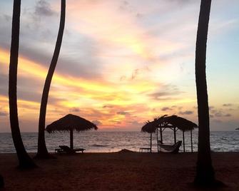Carolina Beach Resort & Spa - Negombo - Bãi biển