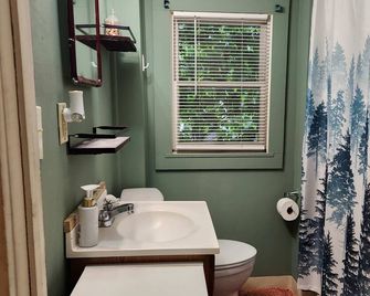 Cozy 3 Bedroom House in Downtown Ithaca - Ithaca