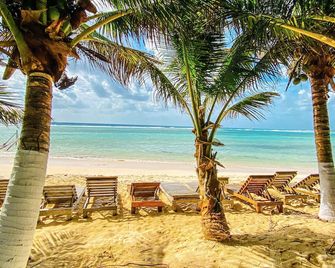 Eco Cabañas Bluekay - Majahual - Playa