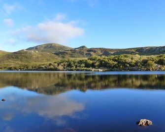 Bluebottle Guesthouse - Cape Town - Outdoor view