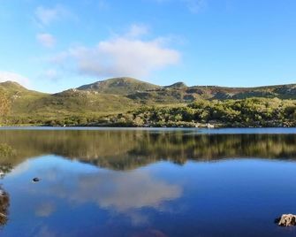 Bluebottle Guesthouse - Cape Town - Outdoors view