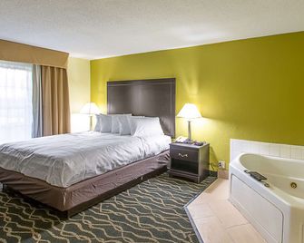 Clarion Inn Columbia Airport - West Columbia - Camera da letto