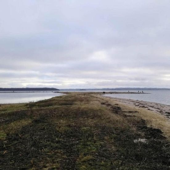 4 Person Holiday Home in Roende-by Traum – Rønde