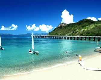 Koala Adventures - Airlie Beach