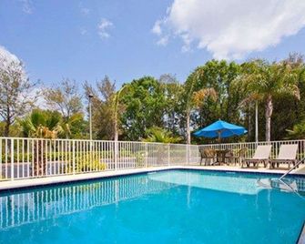 Econo Lodge Wesley Chapel I-75 - Wesley Chapel - Pool