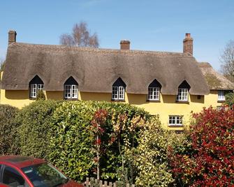 Red Lion - Exeter - Building