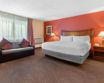 Holiday Inn Express Chicago-Downers Grove - Downers Grove - Camera da letto