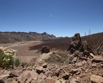 Under palm and banana trees, a 15-minute walk from the sea, - Adeje - Gebäude