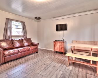 Family friendly cabin! - Hill City - Living room