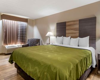 Quality Inn Conyers I-20 - Conyers - Camera da letto