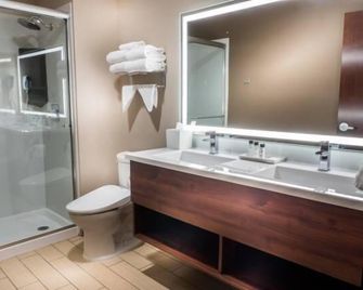 Skyline Hotel and Casino - Las Vegas - Bathroom