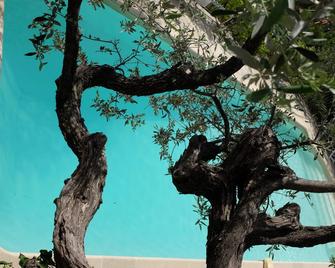 Luxurious Villa, Heated Private Pool And Panoramic Views To The Mediterranean - Seillans - Piscina