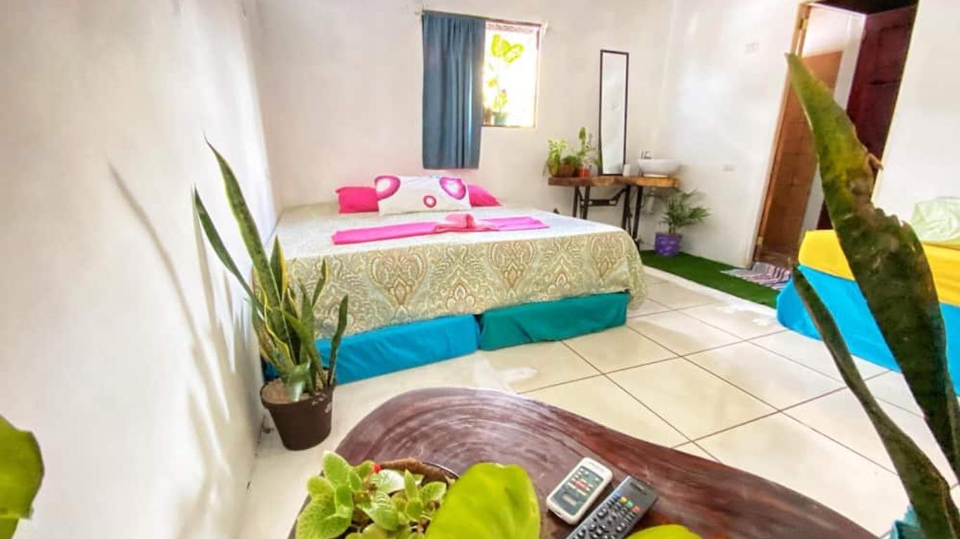 Passifloras Hostel