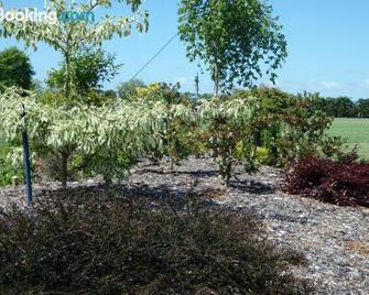 Matangi Oaks Boutique B & B - Tamahere