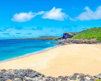 Ocean View, Ground-Floor Condo w/ Lanai & Shared Hot Tub/Pool - Walk to Beach - Maunaloa - Playa