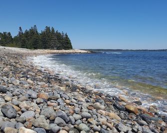 Quiet location. Home is 1/2 a mile to Seawall Beach and 3 miles to town center. - Southwest Harbor - Strand