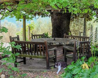 Podere tra gli Ulivi - Montegabbione - Patio