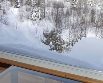 Domaine le Bostonnais - Le Village en Bois Rond - La Tuque - Balkon