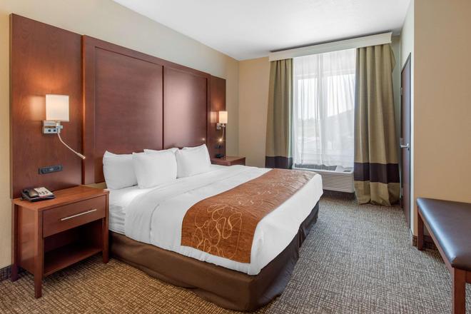 Comfort Suites Denver Intl Airport 99 1 3 4 Denver Hotel