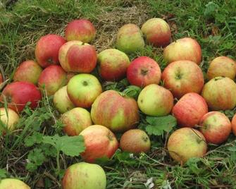 White Heather Farmhouse - Kenmare