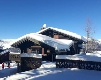 Les Eterlous - Very beautiful Chalet 200m from the slopes of La Plagne - 12-15 pers. - Aime-la-Plagne - Bâtiment