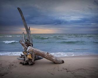 Lake Huron - Super Cute Lake Front Cabin (Sleeps 5) - Oscoda - Strand