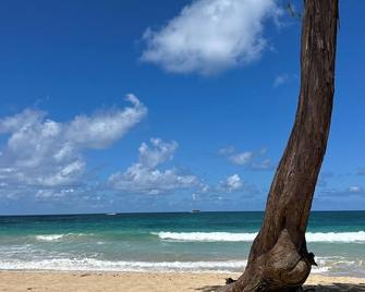 North Shore Garden Hideaway Apartment, No Steps - Pupukea - Strand