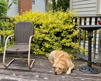 Antique Slumber Old Town Bed and Breakfast - Niagara-on-the-Lake - Patio