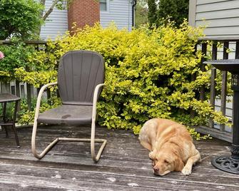 إقامة وإفطار بفندق أنتيك سلامبر أولد تاون - نياغرا ليك - شرفة مرصوفة