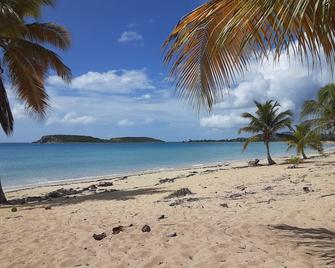 A Toda Vela - Vieques - Beach