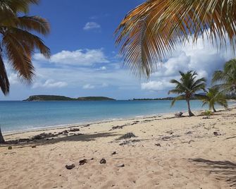 A Toda Vela - Vieques