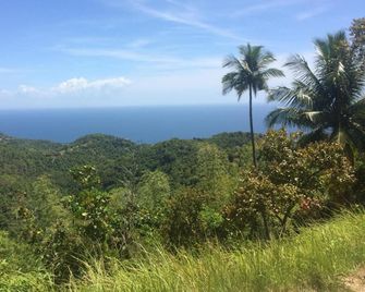 New Village Lodge - Oslob - Outdoor view