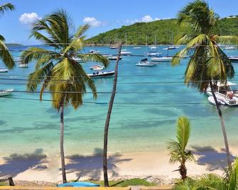Grande Bay Resort - Indigo Blue Luxury 1br Condo Beachfront! - St. John - Beach