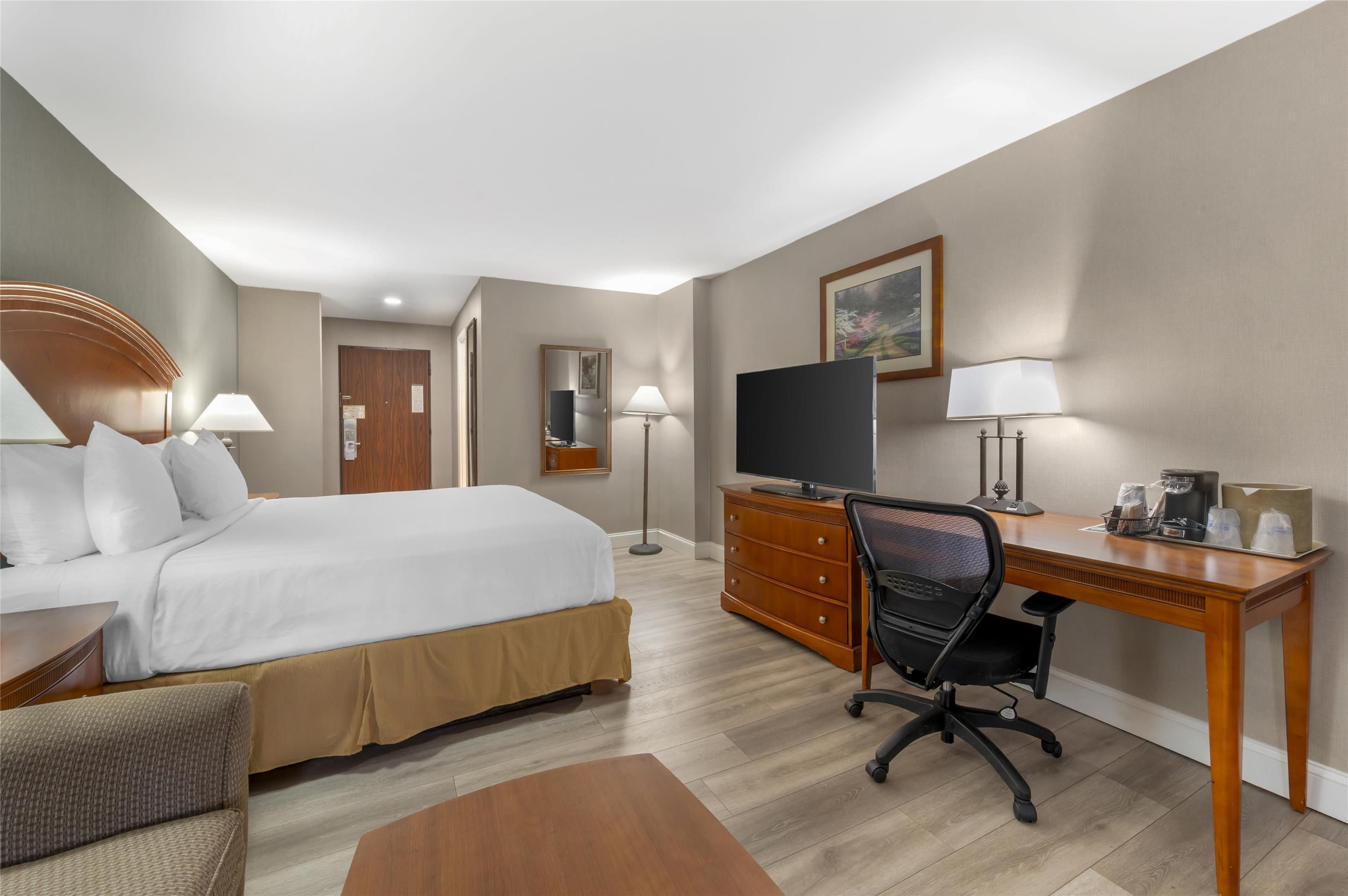 Best Western Manassas - Manassas - Makuuhuone
