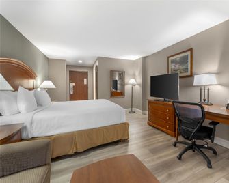 Best Western Manassas - Manassas - Makuuhuone