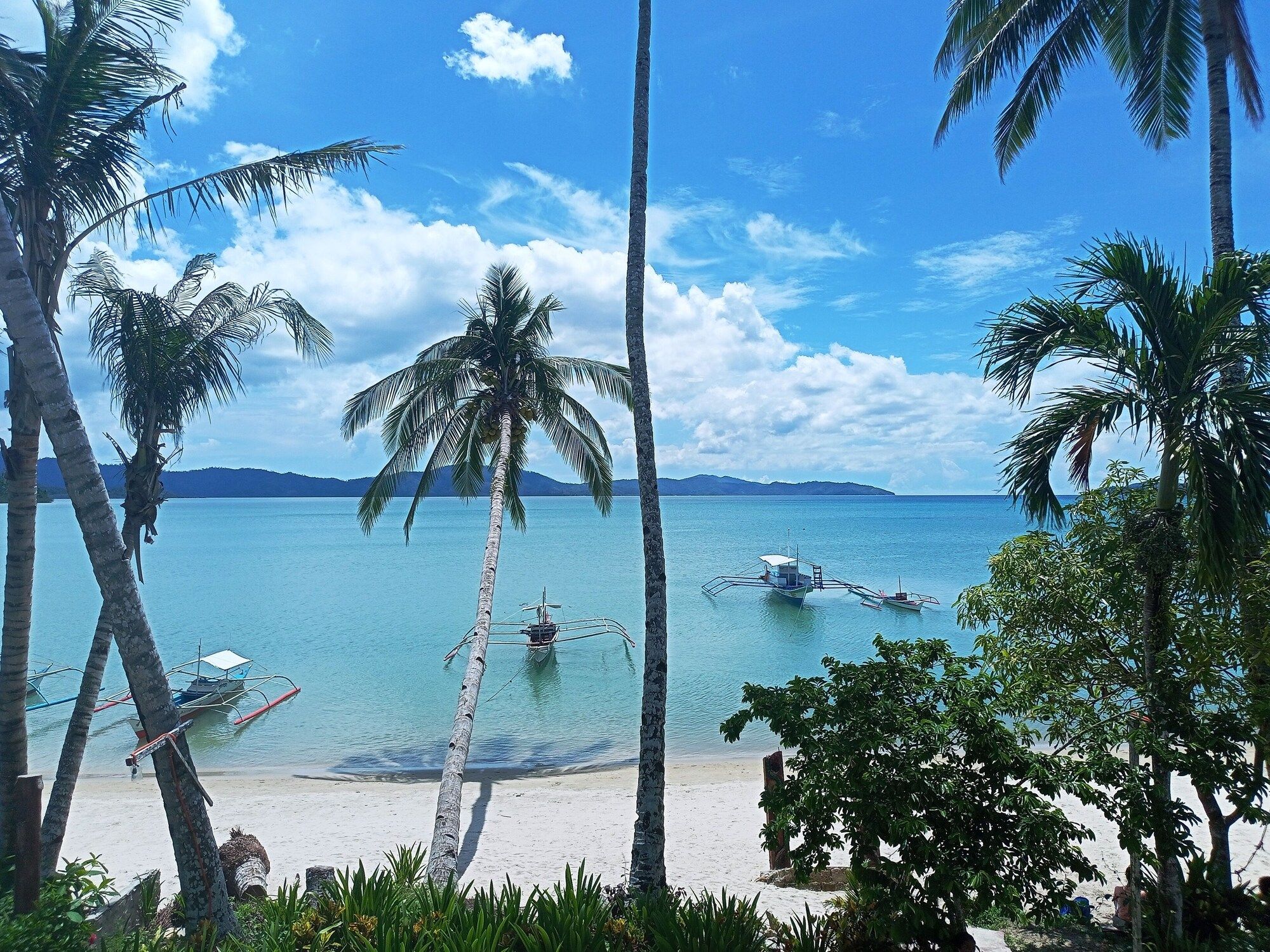 أوسان بيتش فرونت كوتيدج آند ريستورانت