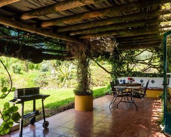 Farmhouse in Montemor near Forest and Lake - Montemor-o-Novo - Patio