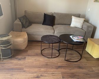 Apartment With Large Terrace On Canals - Grimaud - Wohnzimmer