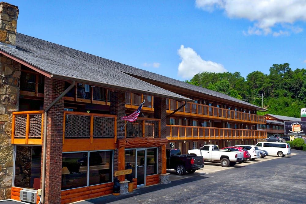 Wild Bear Inn - פיג'ון פורג' - בניין