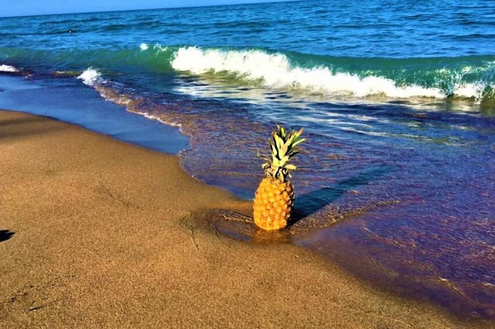 Gold Coast Family Cottages - Oscoda