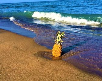 Gold Coast Family Cottages - Oscoda