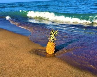 Gold Coast Family Cottages - Oscoda