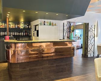 Cit'hôtel Le Chris'tel hôtel et restaurant - เลอปูยองเวอเลย์ - บาร์