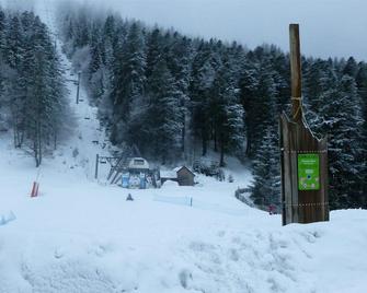 Apart. duplex for 6 people opposite the Masseboeuf chairlift - Laveissière - Vista del exterior